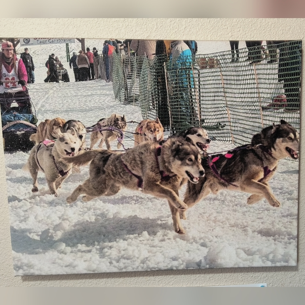Canvas Print